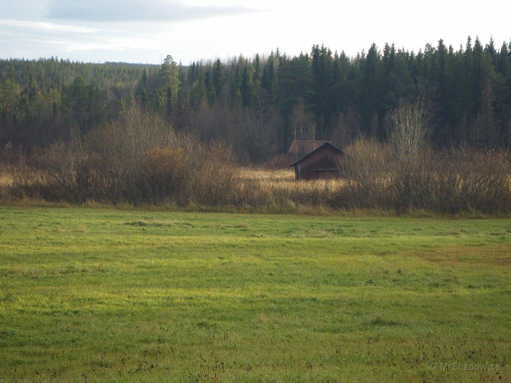 IMGP2278.JPG - Över ängen bort mot ladan är det fortfarande lite grönt, men buskarna vid diket har inte mycket löv kvar.