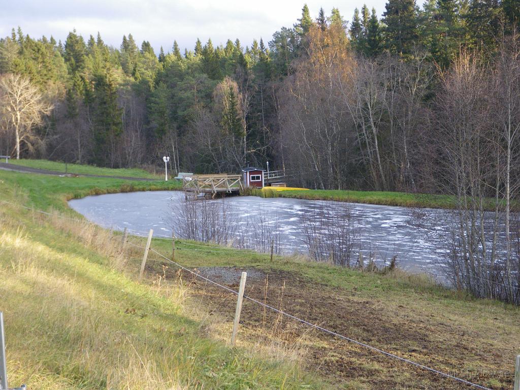 IMGP2299.JPG - 2009-10-24  Dammen vid Slåtte gård är frusen, fast det har varit varmt på dagarna