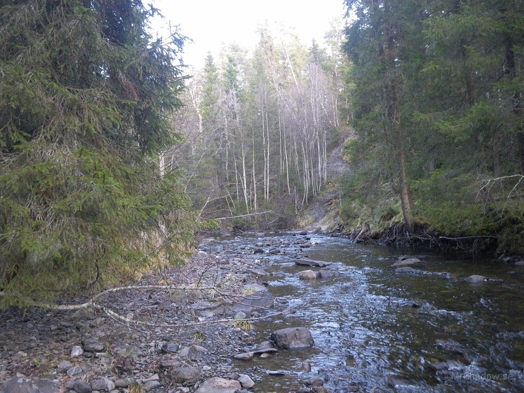 IMGP2339.JPG - Solen lyser lite på träden vid The Creek, men det ser grått och trist ut