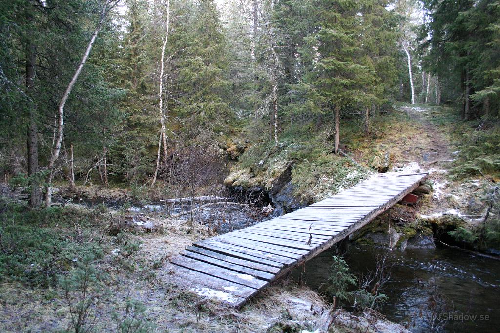 IMG_5688.JPG - Kom på att jag inte gått efter Slåtteån, så jag följde en stig hit.