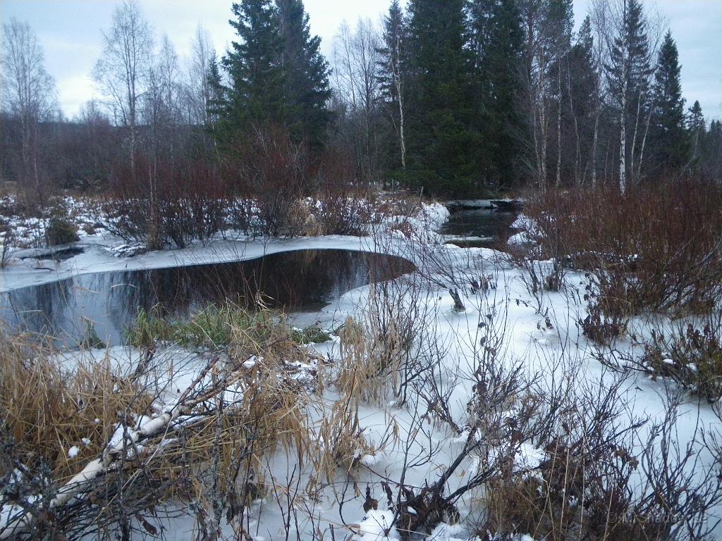 IMGP2435.JPG - Gick från vägen mot Trångsviken och ner efter Slåtteån mot Alsensjön.