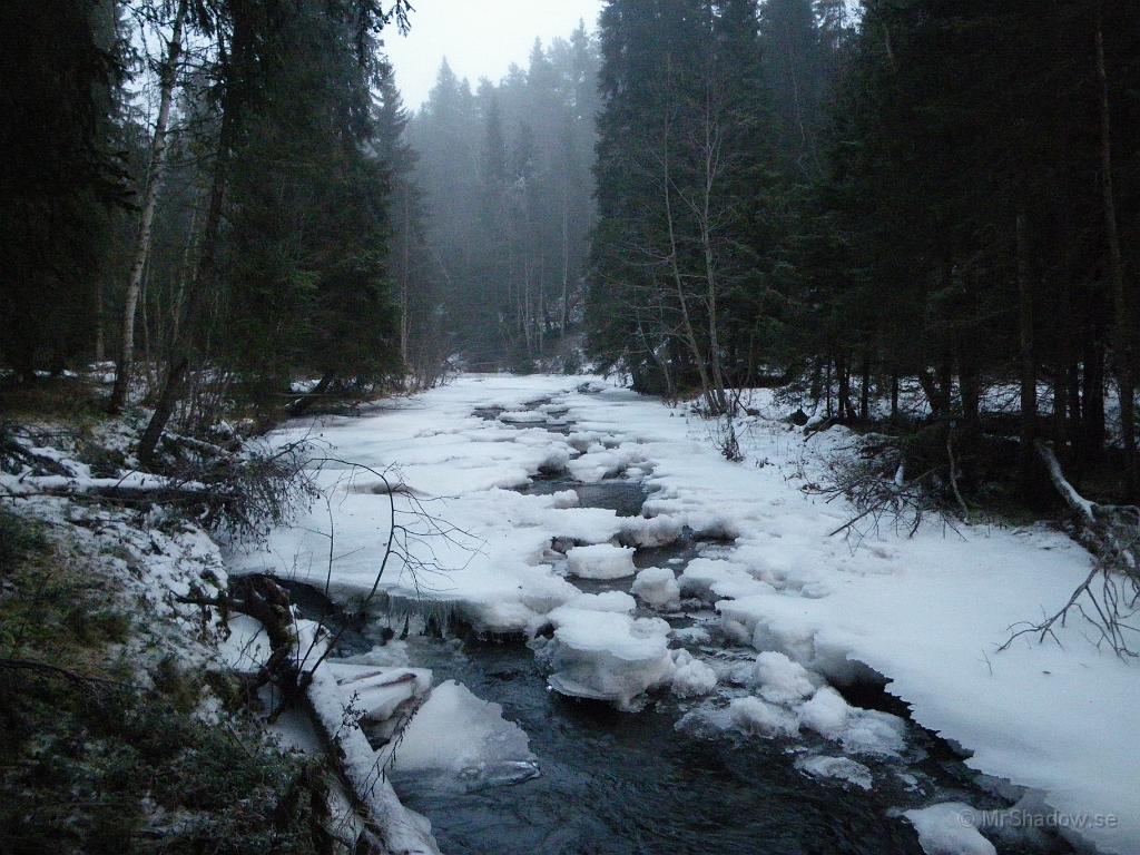 IMGP2440.JPG - 2009-12-13  Knallade bort till Åringsån för att kolla in igen. Inga större skillnader de senaste dagarna. Saknar fortfarande snö.. Fast det kanske kommer nu !!