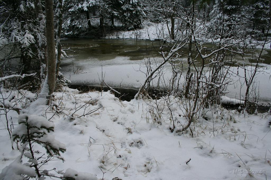 IMG_5718.JPG - På denna sidan av ån är det ganska grunt vatten, men destå djupare vid den andra sidan..