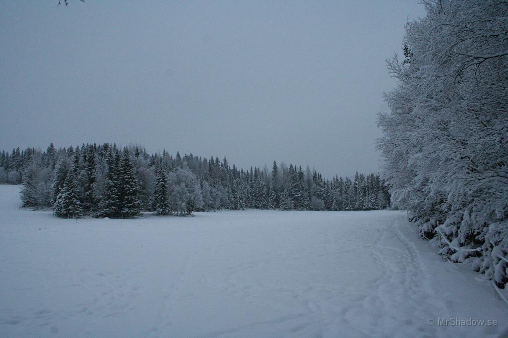 IMG_5769.JPG - Inte mycket till ljus, fast klockan är ca 12:25