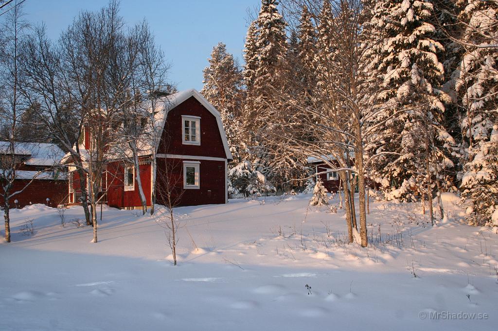 IMG_5971.JPG - Denna dag blir jag nöjd med ljuset i vart fall.