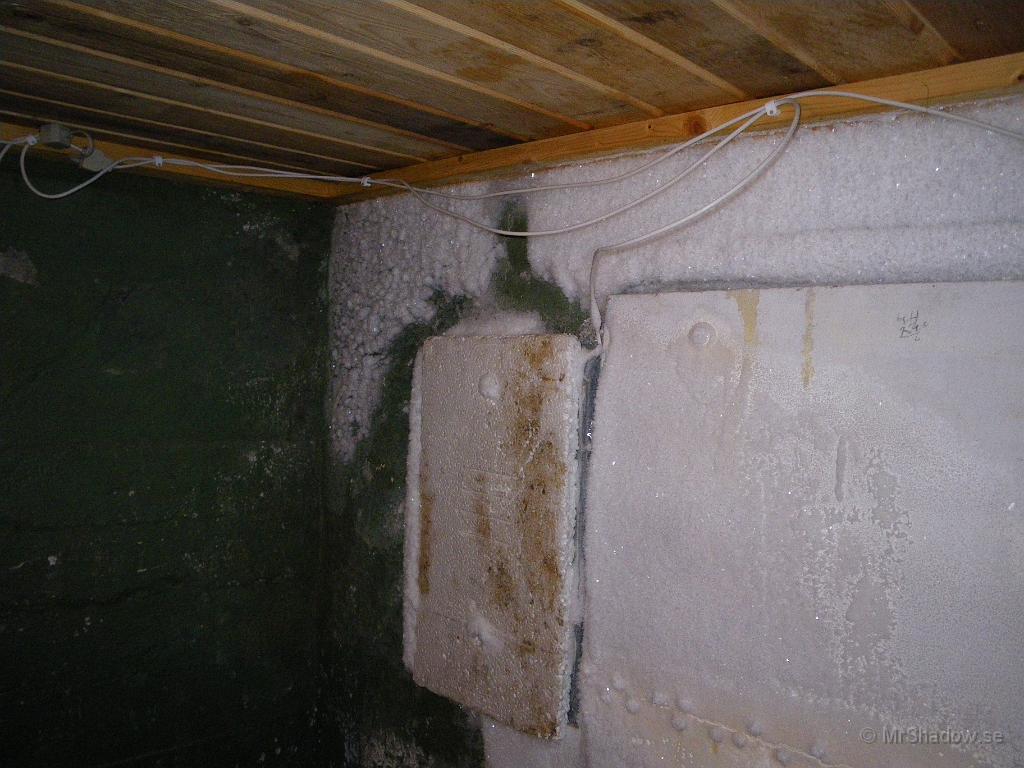 IMGP2541.JPG - Källarväggen är lite frostig kan man säga...