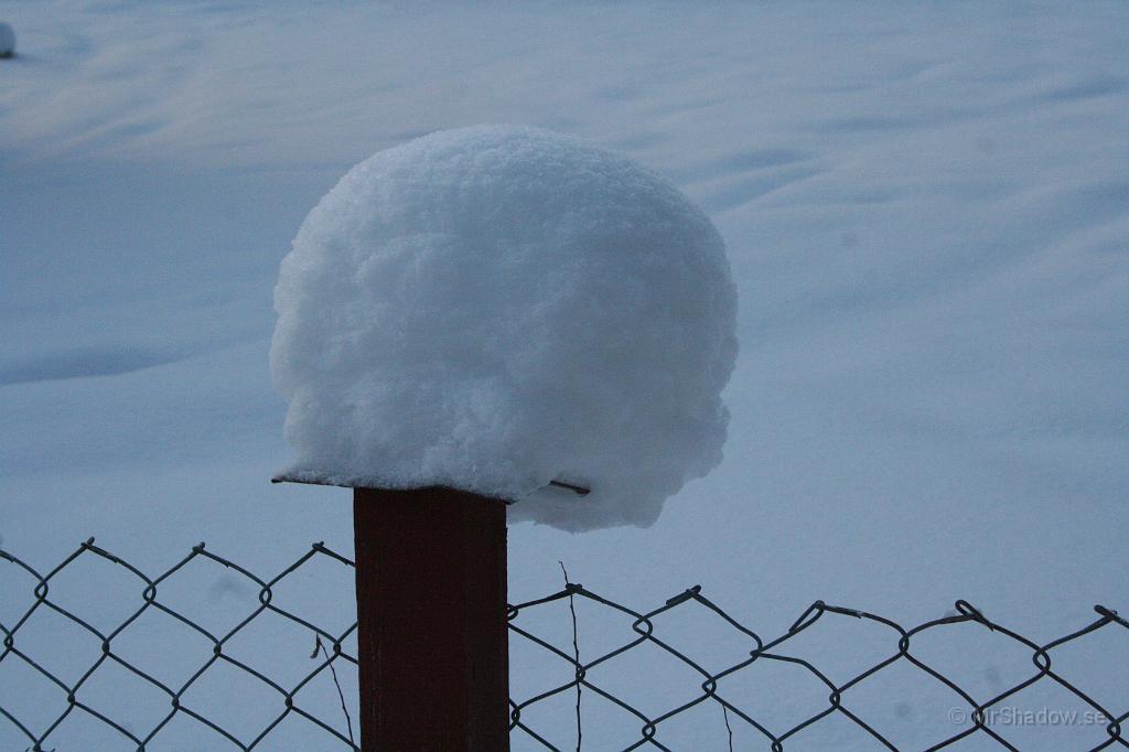 IMG_6017.JPG - 2010-01-03  Det är vackert med snö på det där sättet. Bilden blir dock inte lika fin som verkligheten tyvärr..