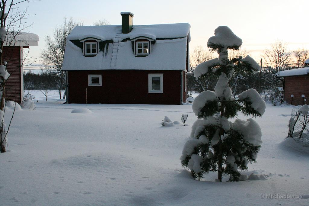 IMG_6021.JPG - Snön ligger tyst på taken, endast tallen är vaken...
