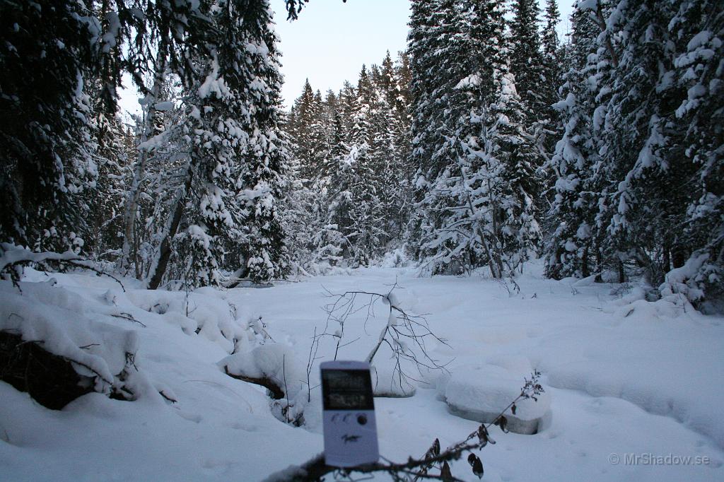 IMG_6075.JPG - Borta vid ån är det kallt, men inte riktigt -30 ännu... Bara -29,8.  Fast det är vackert ändå.