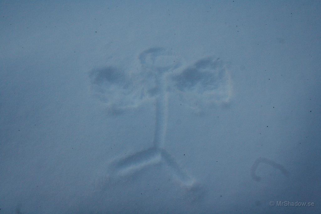 IMG_6115.JPG - Liten snöänge :-)