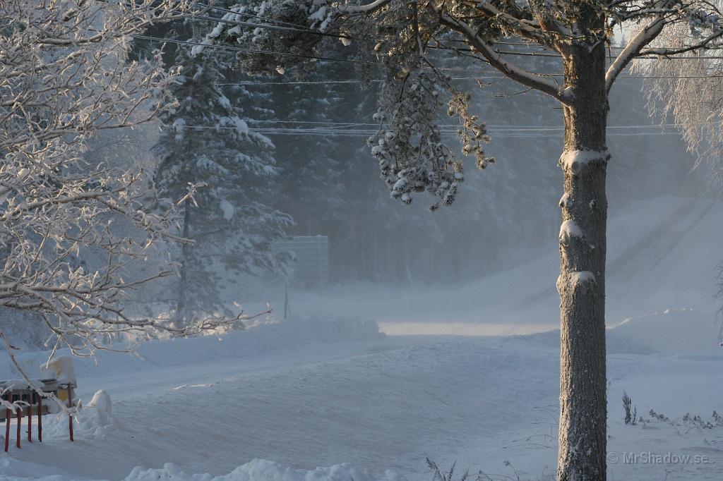 IMG_6213.JPG - Även om det ser ut som snöstorm, så är det inte så farligt.