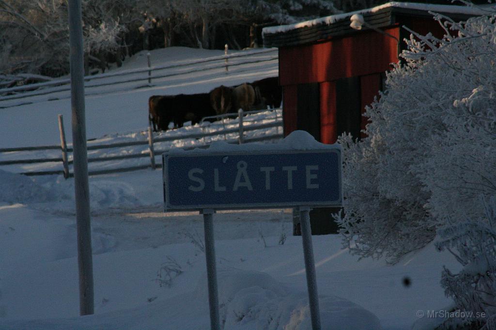IMG_6216.JPG - Skylten ser frostig ut..