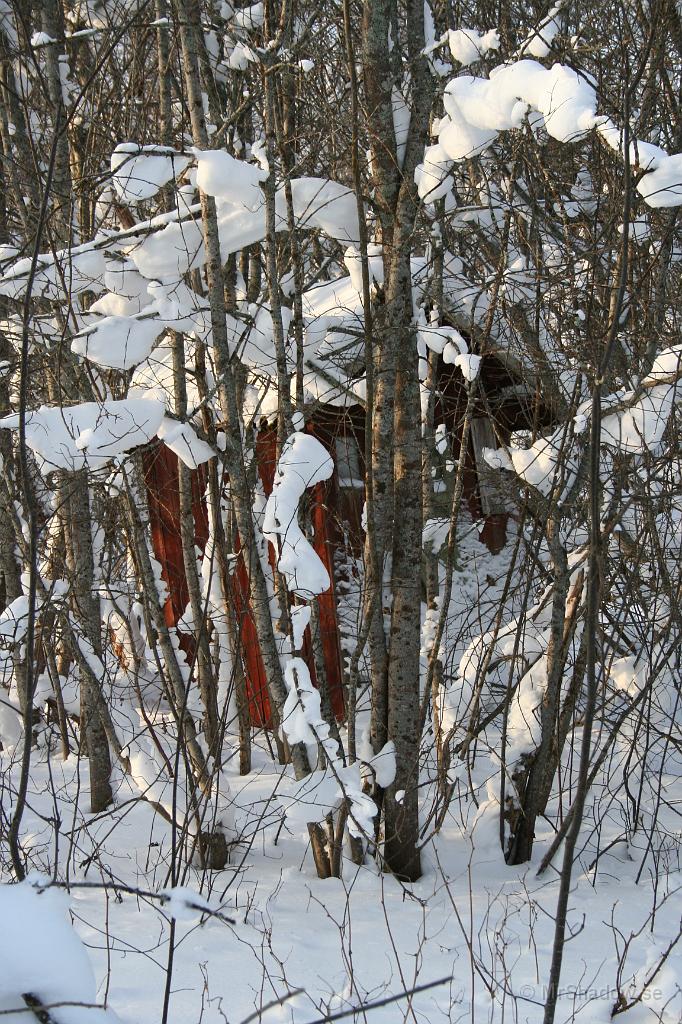 IMG_6240.JPG - Ett utedass är också gämt i snårskogen..