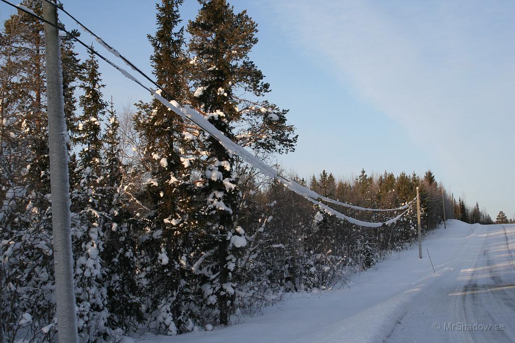 IMG_6252.JPG - Även om det är lätt snö, så blir det vikt när de hänger i telekablarna.