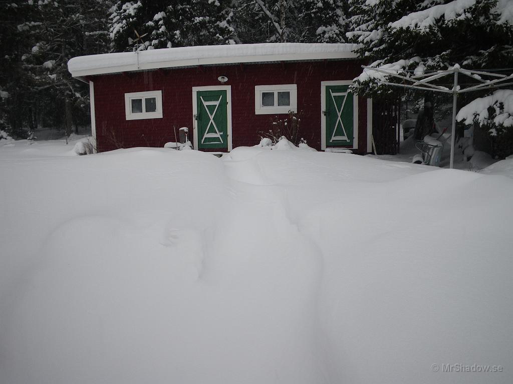 IMGP2802.JPG - Det har dock blåst lite så "diket" till uthuset syns nästan inte.