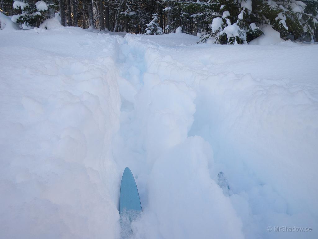 IMGP2811.JPG - Det var inte helt enkelt att ta sig fram på skidorna. Det blev nästan ett dike.. 60 cm pudersnö är inte skidvänligt...