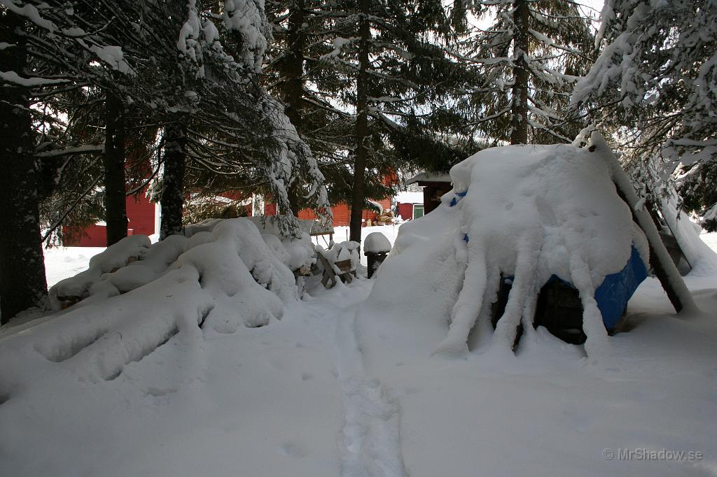 IMG_6383.JPG - Nu vet jag att det är ved som ligger där... och inget annat. Under snön förståss.. Det ser värre ut än vad det är..