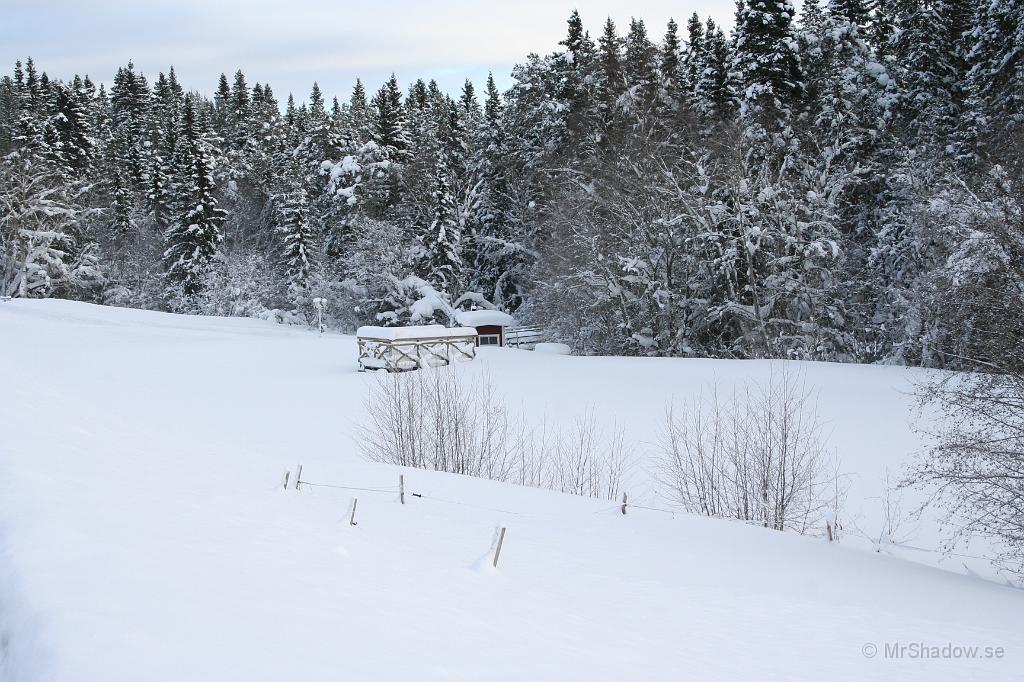 IMG_6385.JPG - Det är lite stelfruset vid dammen på Slåtte gård