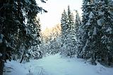 IMG_6357