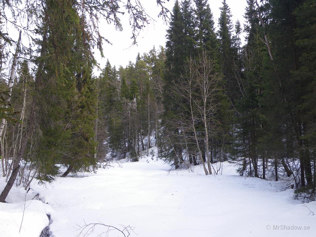 IMGP3077.JPG - Blir det nu varmt, så kommer det säkert snart att porla under isen.