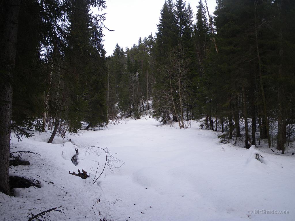 IMGP3119.JPG - Vid ån syns det inte så mycket av våren en, men lite skiftning i snötäcket är det allt..