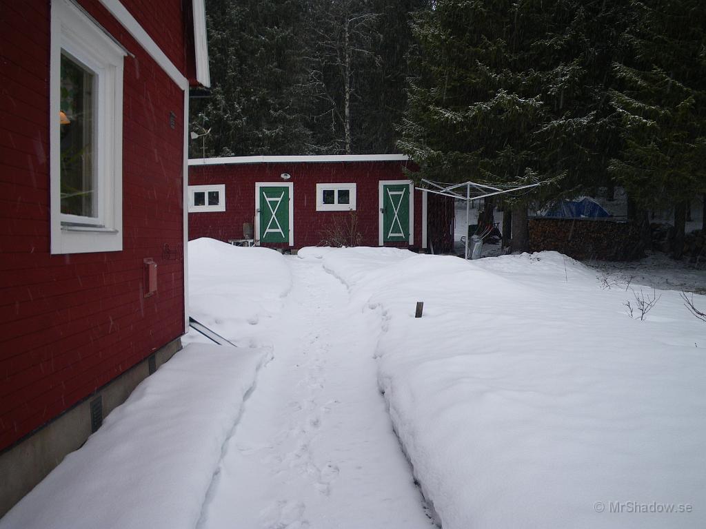 IMGP3123.JPG - Gruset var ju delvis framme... Nu är det snö och is igen..