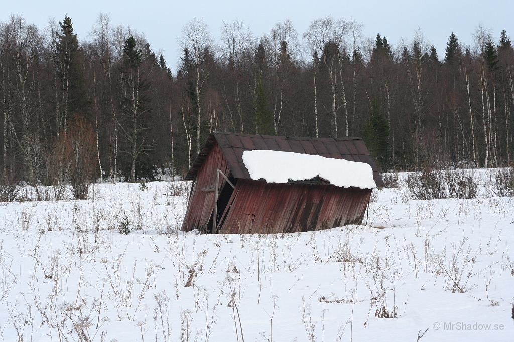 IMG_7276.JPG - Ladan är jag lite nyfiken på. Framförallt hur länge den klarar sig innan den rasar.