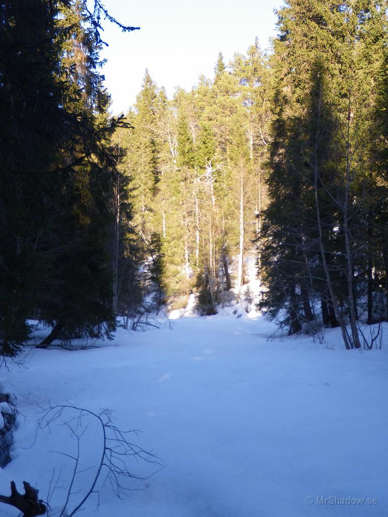 IMGP3162.jpg - Eftermiddagssolen skiner vackert vid The Creek, men den kanske inte värmer tillräckligt..