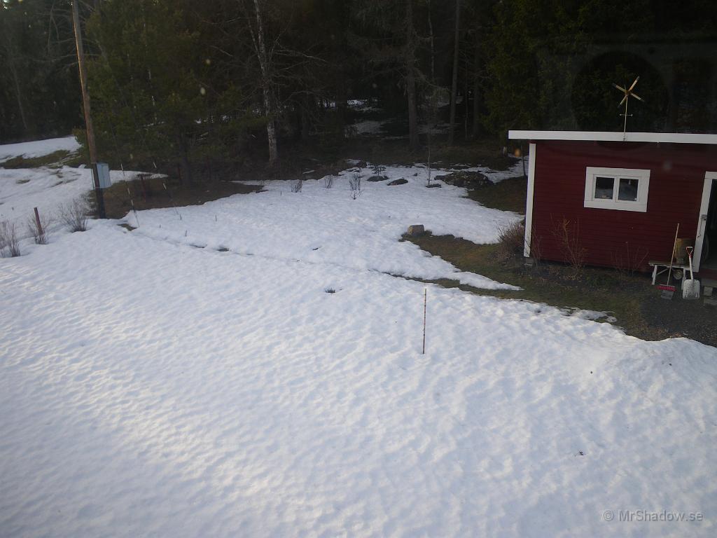 IMGP3180.JPG - 2010-04-09  Visst har det blivit mindre med snö på en vecka ??  Nu är ju stigen till elskåpet också nästan bar.