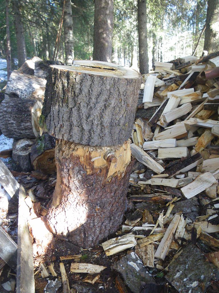 IMGP3183.JPG - Huggkubben är av ordinär storlek, men kubben att klyva är liite större. Asp så det är relativt lugnt..