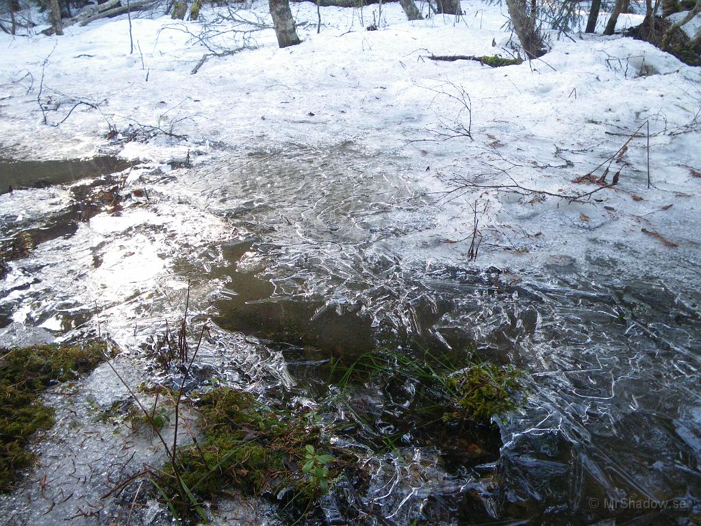 IMGP3198.JPG - Solen har inte värmt så mycket i skogen denna dag, så de fina isstrukturerna finns kvar även på eftermiddagen..