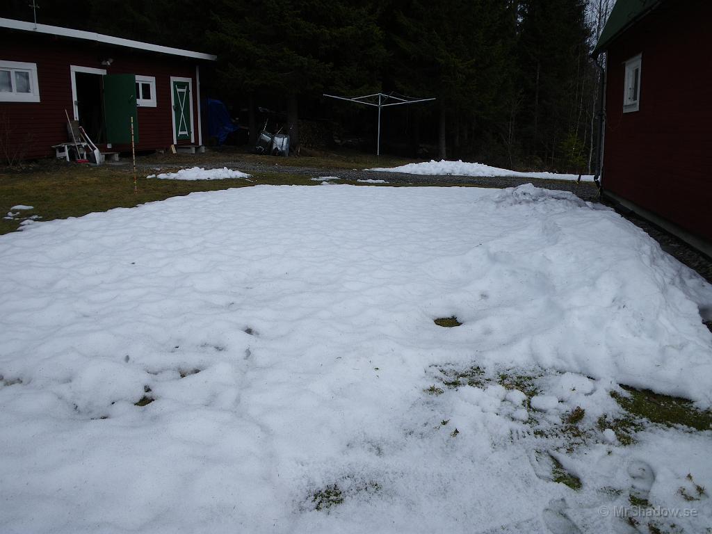 IMGP3231.JPG - Varit ute och rört om i snön med kratta, för att skynda på smältningen liite