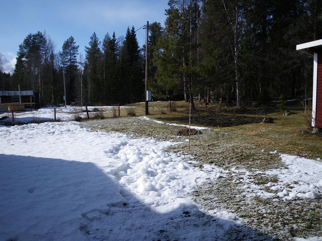 IMGP3235.JPG - Så var hela gräsmattan vit igen...