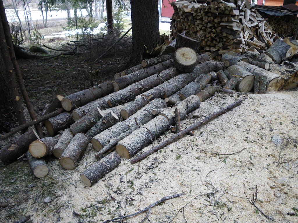 IMGP3238.JPG - 2010-04-17  Det är inte snö som ser så vitt ut, inte allt i vart fall, utan sågspån. Har haft lite osågad ved liggande, så nu var det läge att "tjoppa" upp det i  klyvbara kubbar...