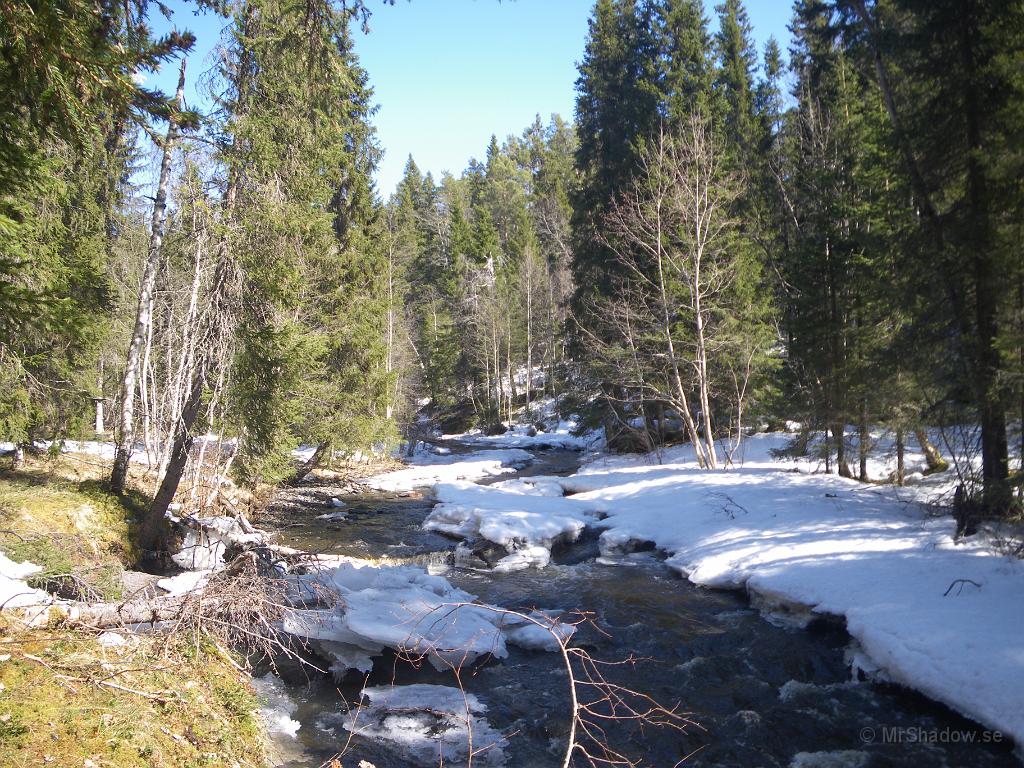 IMGP3261.JPG - Vid Åringsån är det inte full vårflod ännu, men på god väg.