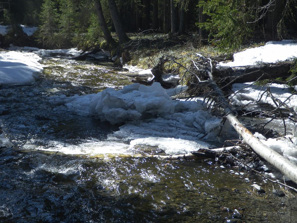 IMGP3262.JPG - I den öppna fåren är det ganska bra fart på vattnet.