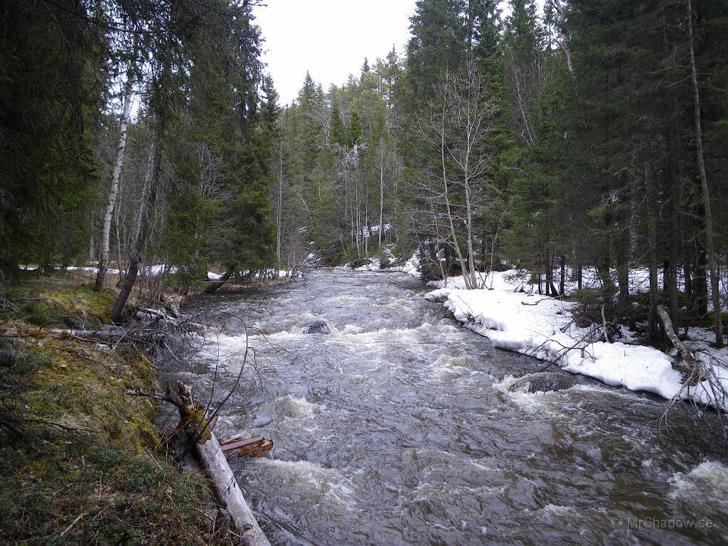 IMGP3293.JPG - Tror inte jag sett sådant massivt vattenflöde här tidigare.