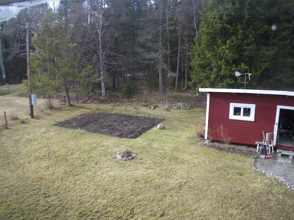 IMGP3302.JPG - Nu syns i vart fall ingen snö och gräsmattan har blivit "kammad" en gång..