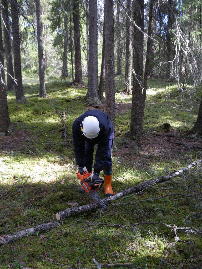 IMGP3315.JPG - Puttermaskinen gör ett bra jobb..