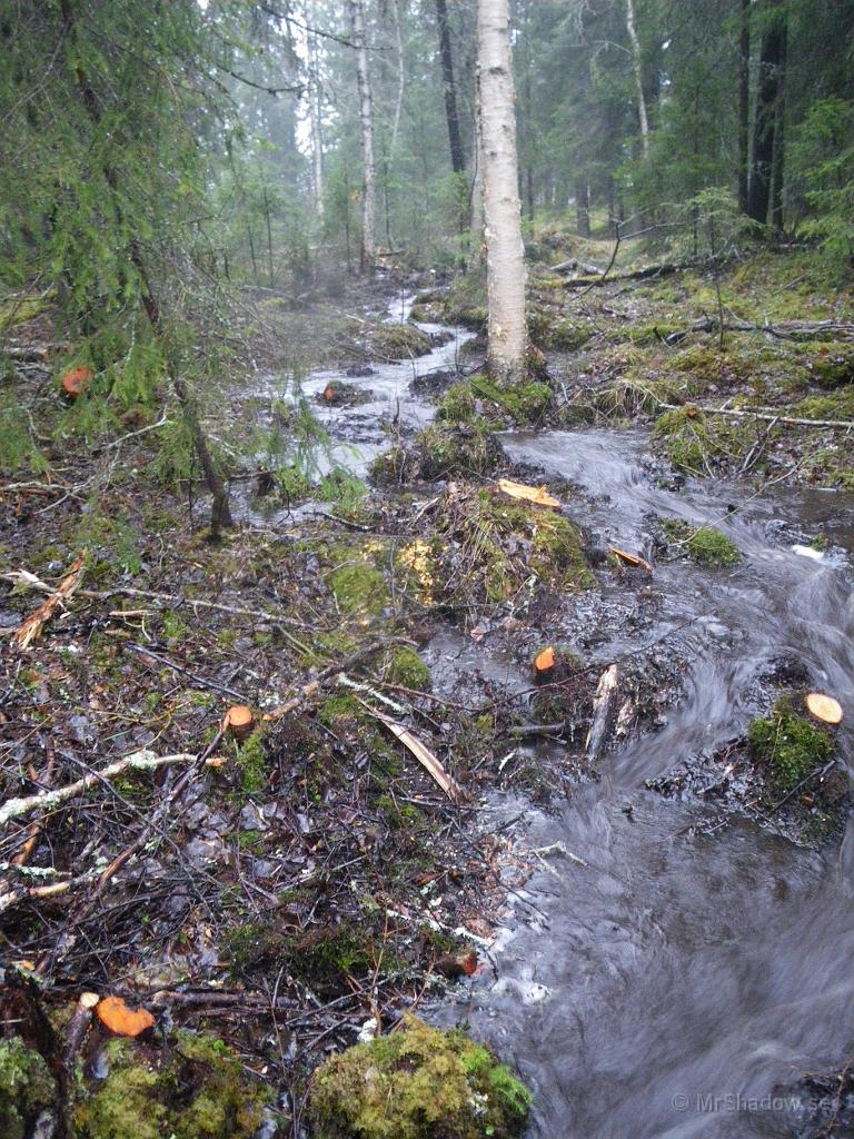 IMGP3325.jpg - Gjort lite rensning och utdikning i surhålet några hundra meter norr om Slåttet. Men inte hjälpte det när skyfallet kom.. Översvämning och katastrofvarning i mindre format..