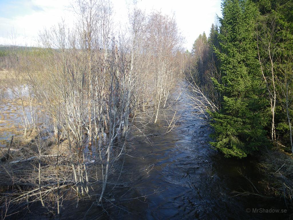 IMGP3345.JPG - Även Slåtteån har svemmat över, men här har nog bävern hjälpt till lite..