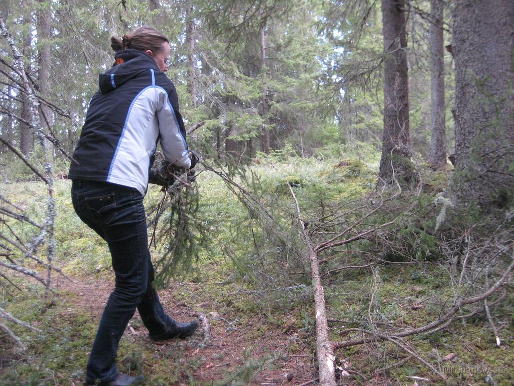IX70_2703.JPG - Ett lite risigt jobb...