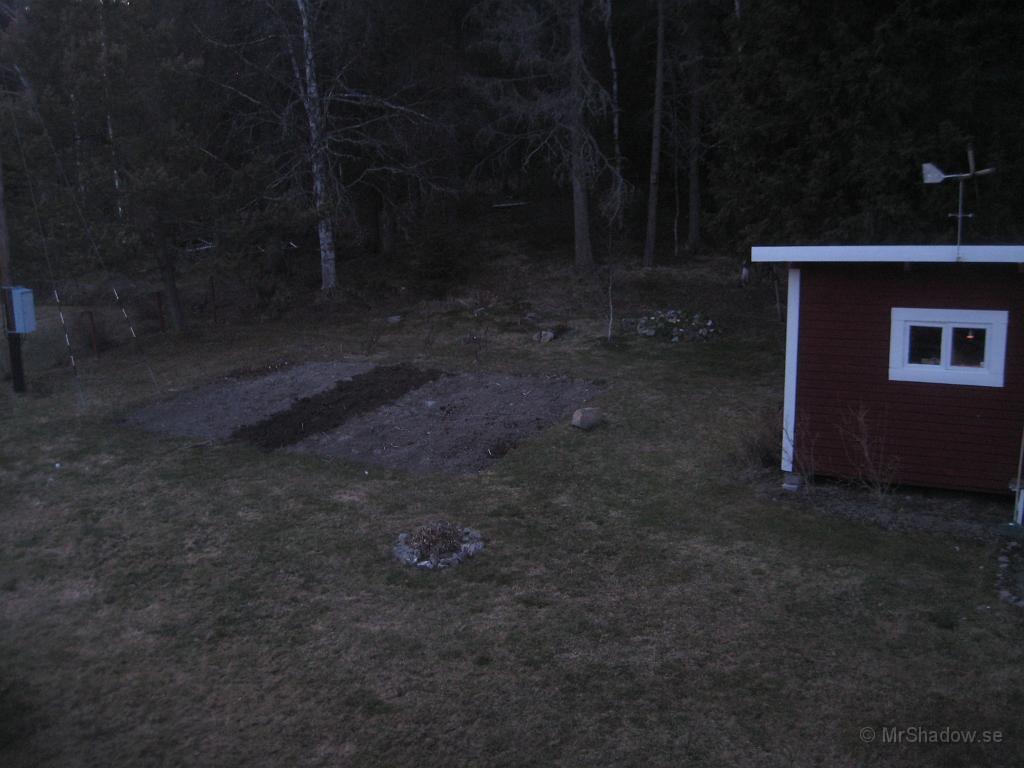 IX70_2724.JPG - Jodå, varit ute och pillat i patatislandet... Men denna kamera gillar inte det halvsvaga ljuset...