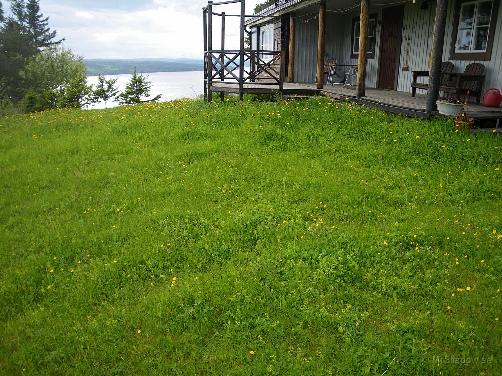 IMGP3566.JPG - 2010-06-11  Lovade en kompis att kolla hur det såg ut vid deras stuga.
