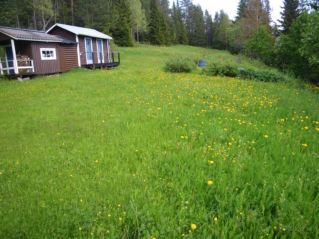 IMGP3567.JPG - Jo det är nog behov av lite gräsklippning där..