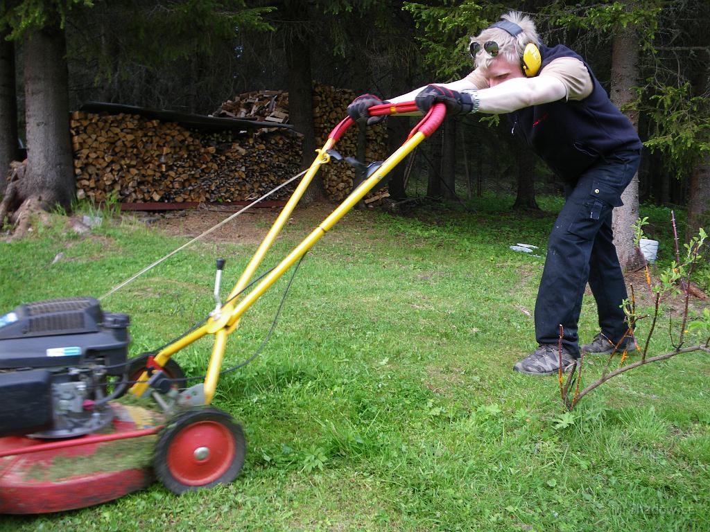 IMGP3573.JPG - Men vitsipporna har ju blommat ut, så då går det ju att snygga till lite..