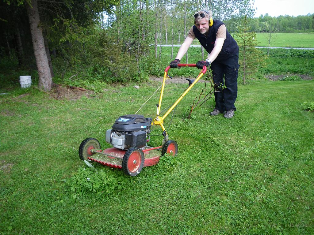 IMGP3574.JPG - Det är ingen liten tuva att köra över..