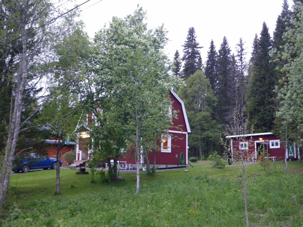 IMGP3577.JPG - Framgår kanske inte helt klart, men häggen blommar för fullt..