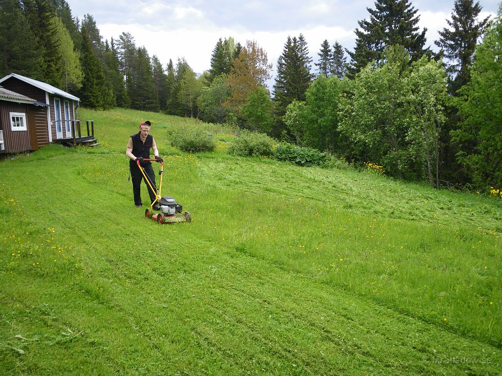 IMGP3585.JPG - Fast det var ju inte lika högt gräs över hela tomten.