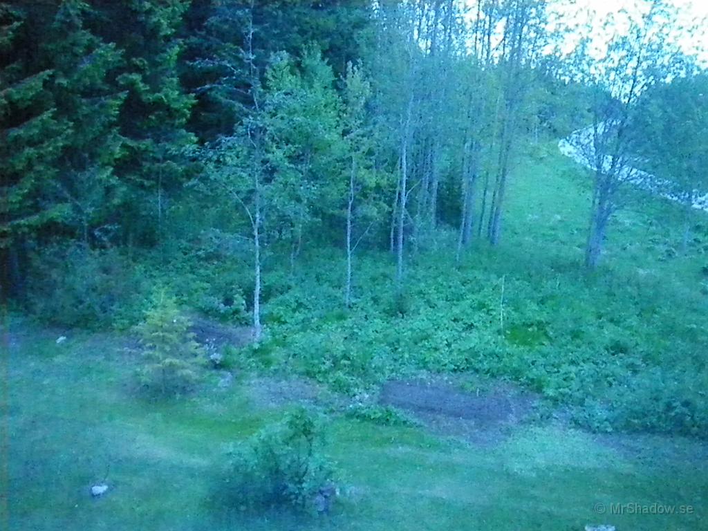 IMGP3591.JPG - Kameratest kan man kalla det,  ISO6400 klarar lilla kameran av. Klockan är 01:31..
